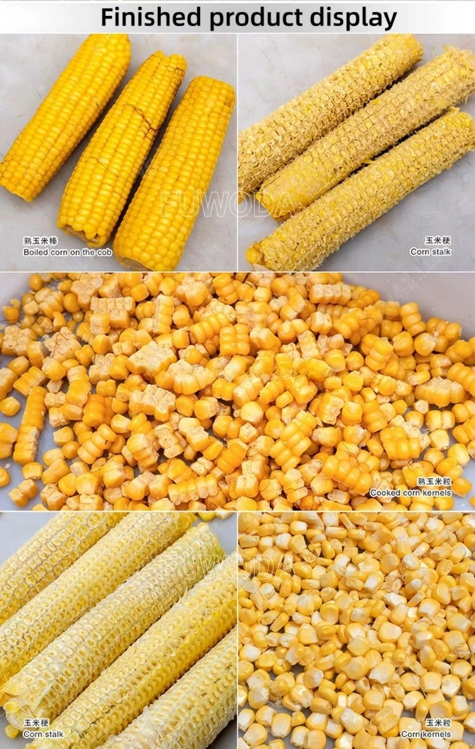 Industrial Fresh Corn Processing Threshing Machine Corn Thresher Maize Sheller for Small Business