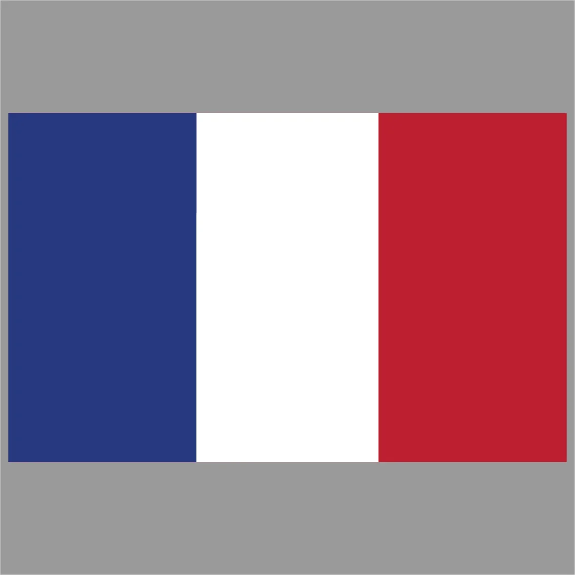 Виниловая-наклейка-на-автомобиль-с-французским-флагом-подходит-для-чехла-на-тележке-для-компьютера-настенного-мотоцикла