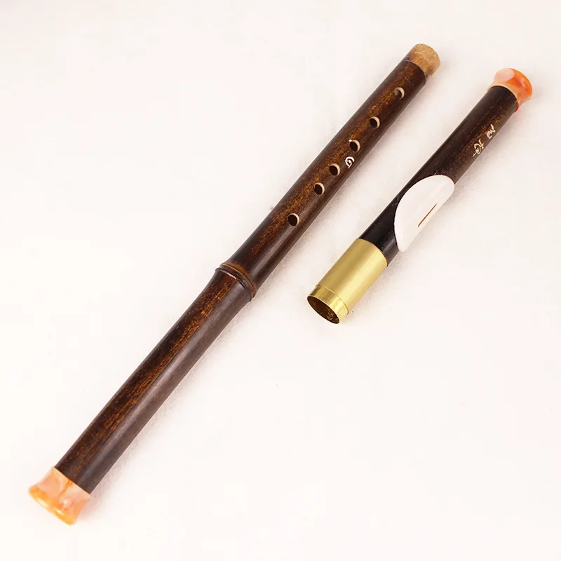 Purple Bamboo Bawu Professional Transverse Blowing Flute Adult Beginners Learning Wind Music Instruments Detachable Ethnic Bawu