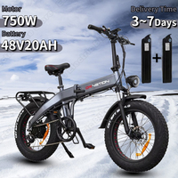 Electric Bike 750W Brushless Motor 48V20AH Dual Lithium Battery City Folding Electric Bicycle 20*4.0-in Fat Tire Mountain E-bike