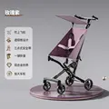 Rose Purple