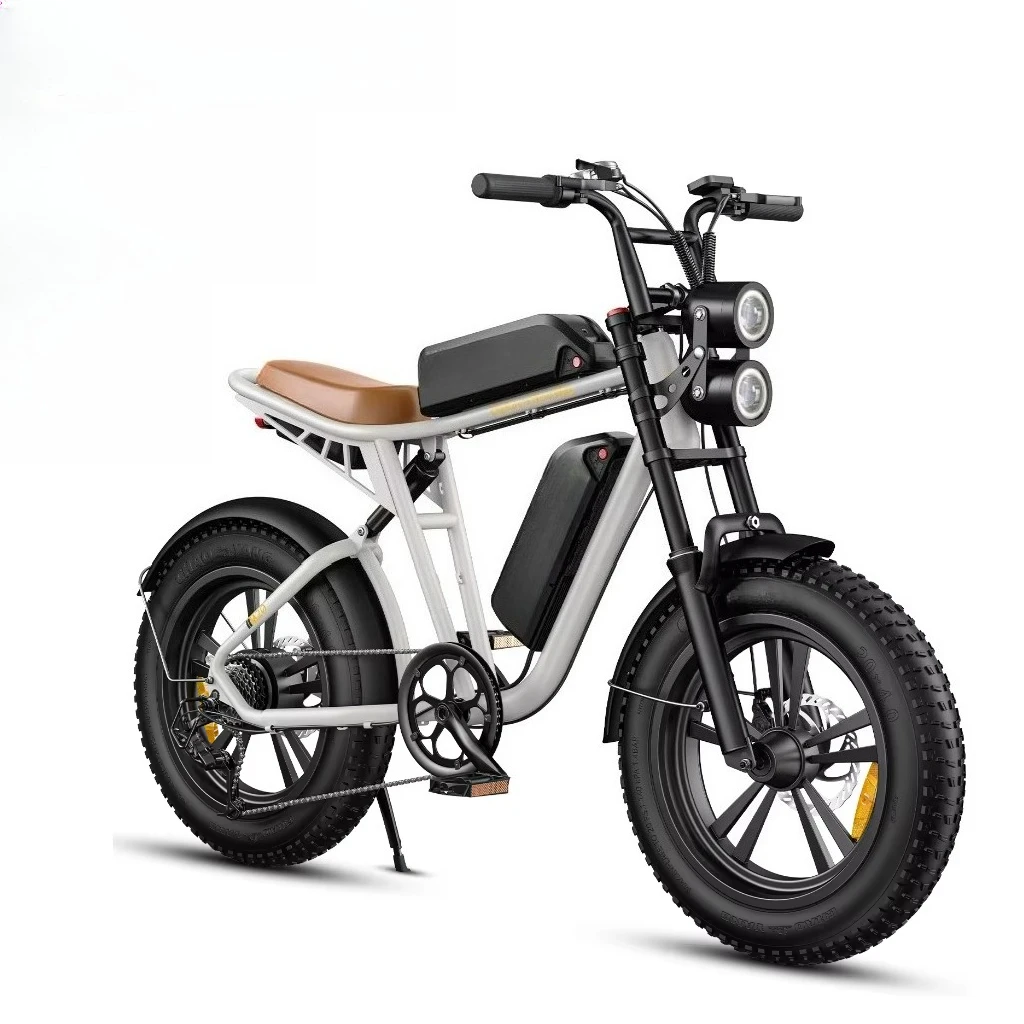 

M20 250W 20*4.0 Inch Fat Mountain Tires Electric Bicycle 25km/h Disc Brake Adult Fat Ebike in EU US Warehouse