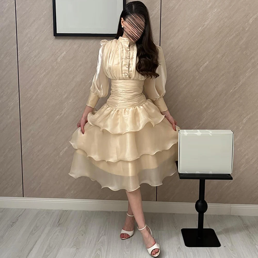 Elegant Organza Evening Dress Fashion Buttons High Collar Prom Dresses Delicate Long Sleeves Customized Special Occasion Gowns