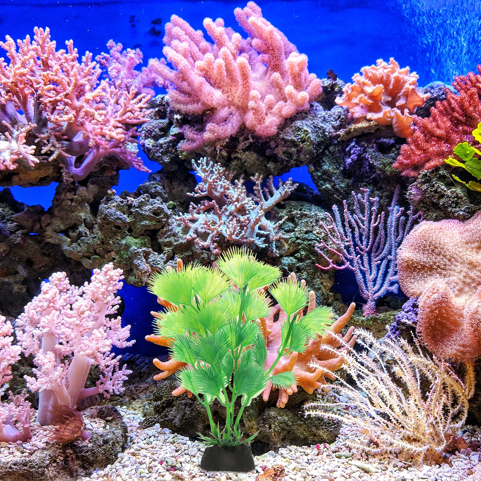 

10Pcs Realistic Aquarium Plants Lifelike Aquatic Decoration for Betta Fish Tank Freshwater Plastic Fish Tank Plants Aquarium