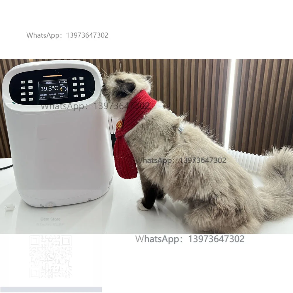 VS-VHB New Generation Veterinary Instrument High Cost-Effective Warming System Multiple Speed Temperature Control Protection