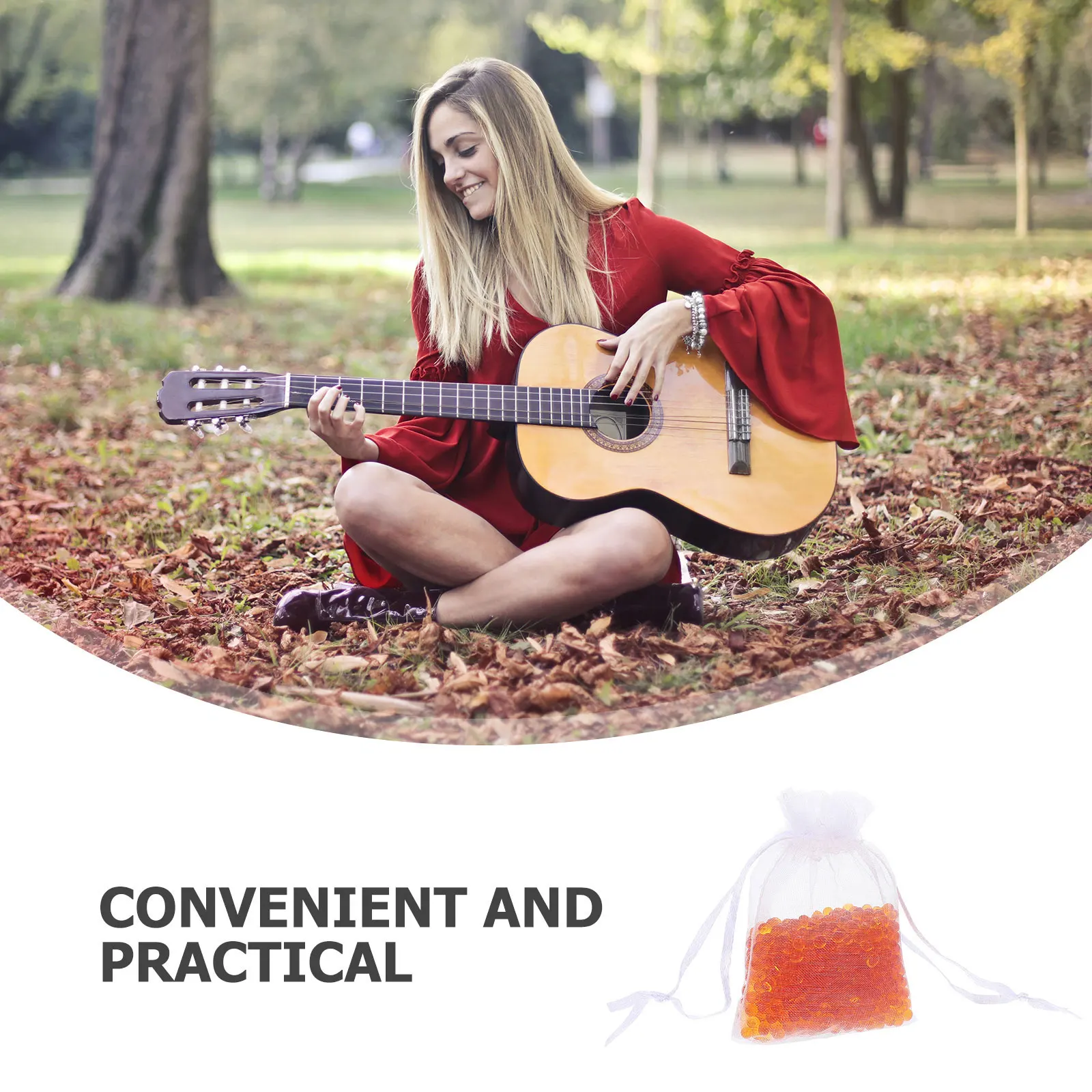 

5pcs Guitar Dehumidifier Piano Drying Silica Gel Desiccants Moisture Proof Reusable Musical Instrument Accessories
