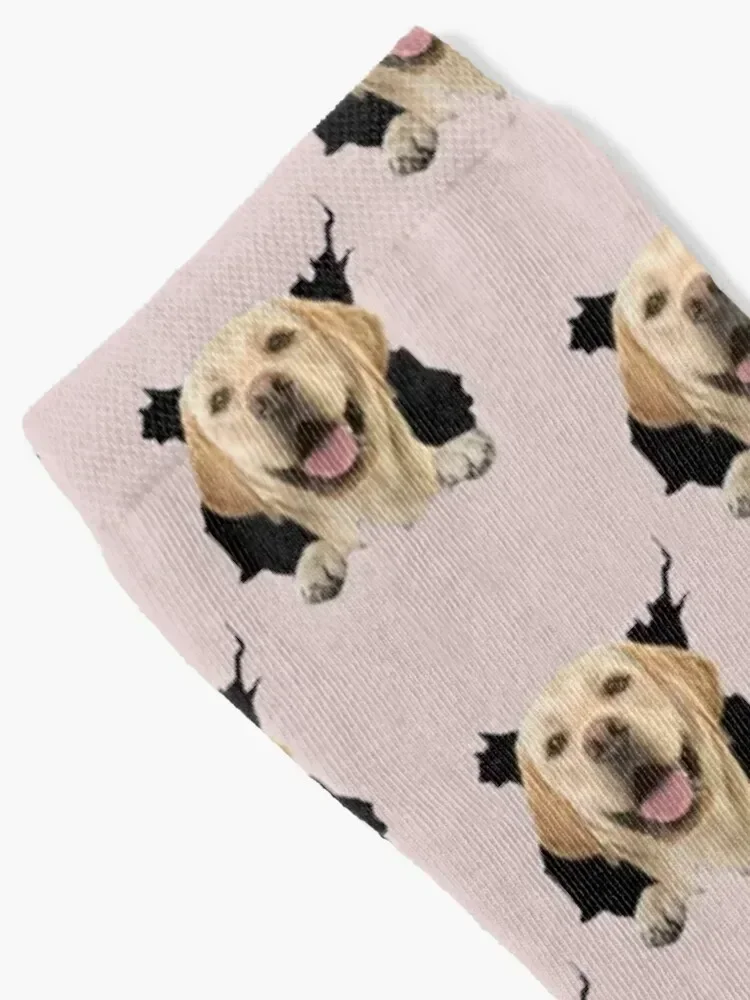 Golden Retriever Doggo Socks japanese fashion funny sock Men's Socks Women's