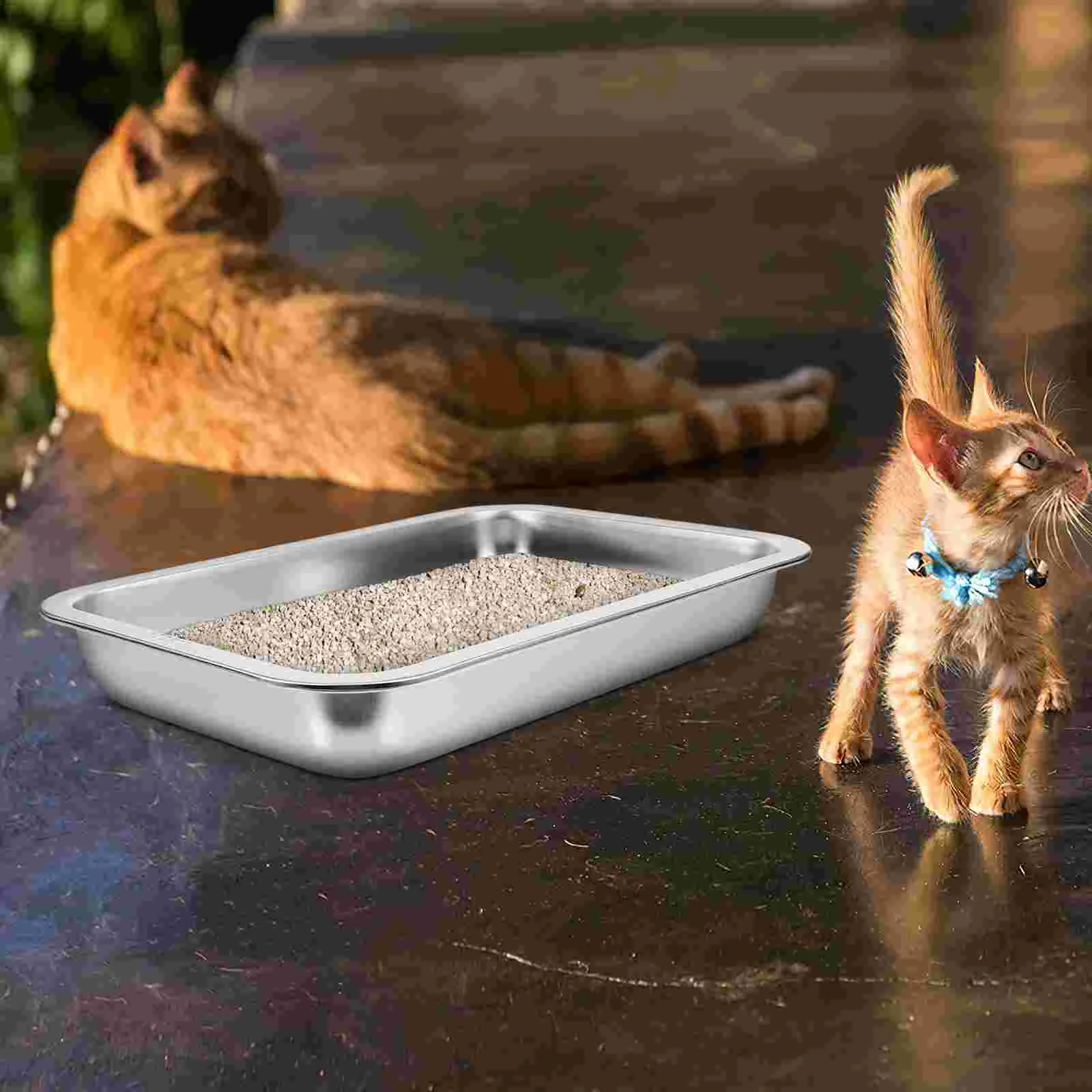 Kitten Stainless Steel Cat Litter Box Food Containers with Lids Plush Toilet