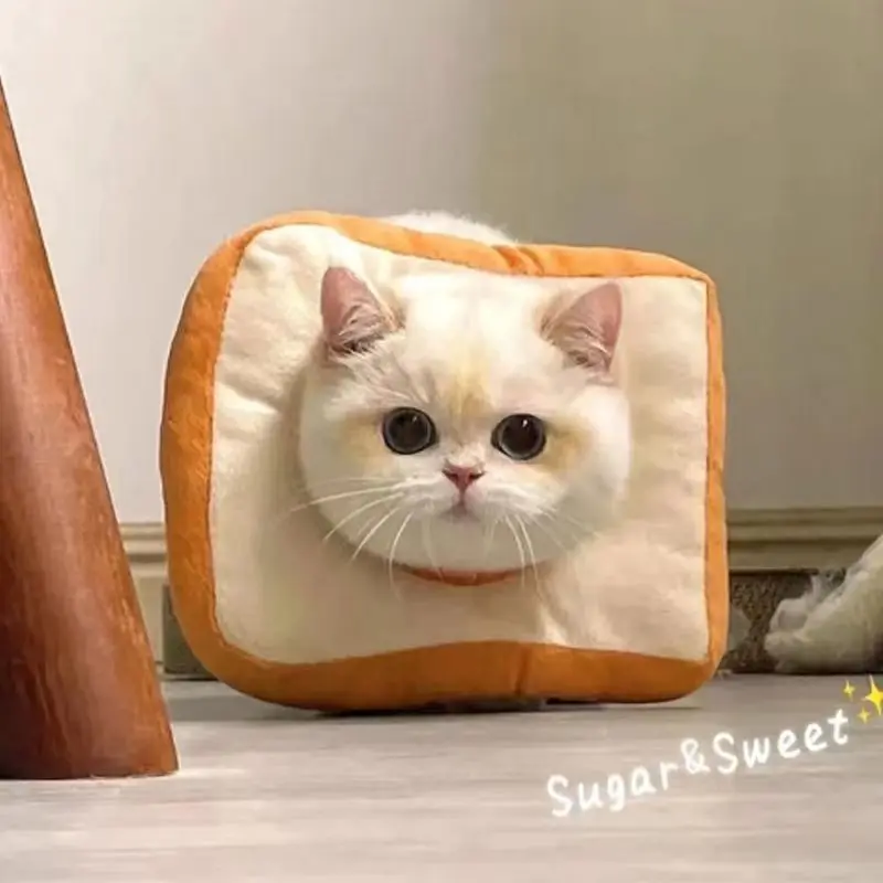 Cat Collar Bread Cat Elizabeth Collar Rabbit Collar Toast Elizabeth Collar Elizabeth Kitten Adorable and Soft