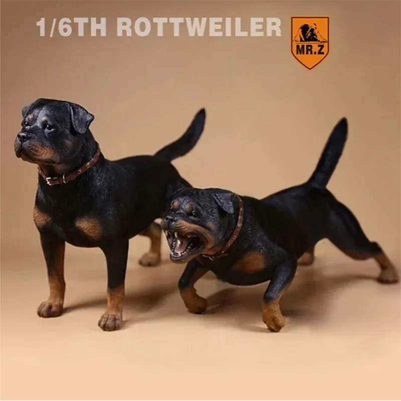 Mr.Z 1/6 Simulation Animal Dog German Rottweiler Dog Model Toy Gift Model F 12