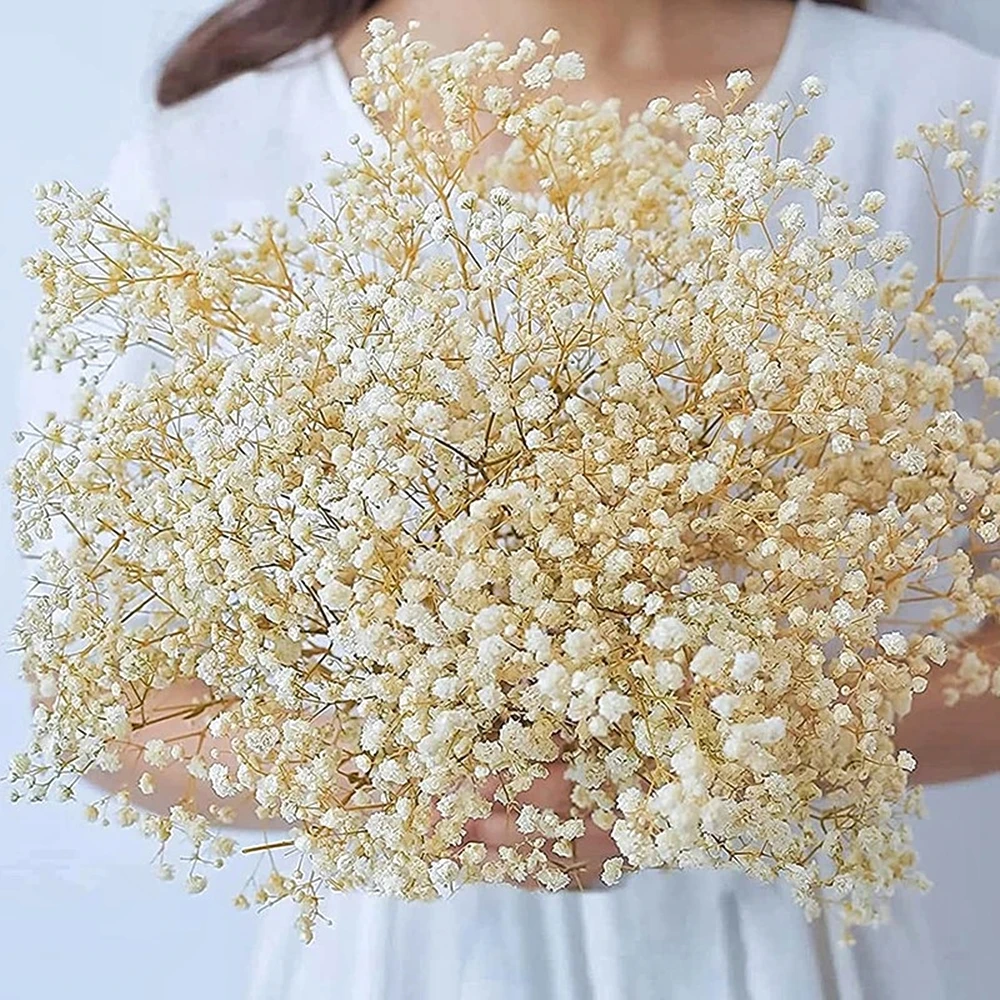 Natural Fresh Dried Preserved Flowers Gypsophila paniculata,Baby's Breath Flower bouquets gift for Wedding Decoration,Home Decor