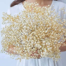 Gypsophila paniculata dei fiori conservati secchi freschi naturali, regalo dei mazzi del fiore dell'alito del bambino per la decorazione di nozze, decorazioni per la casa