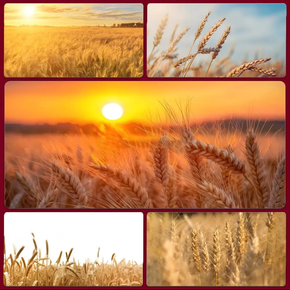 

Wheat Field Harvest Mouse Pad Large Gaming Mousepad with Stitched Edges Thickened Desk Mat PC