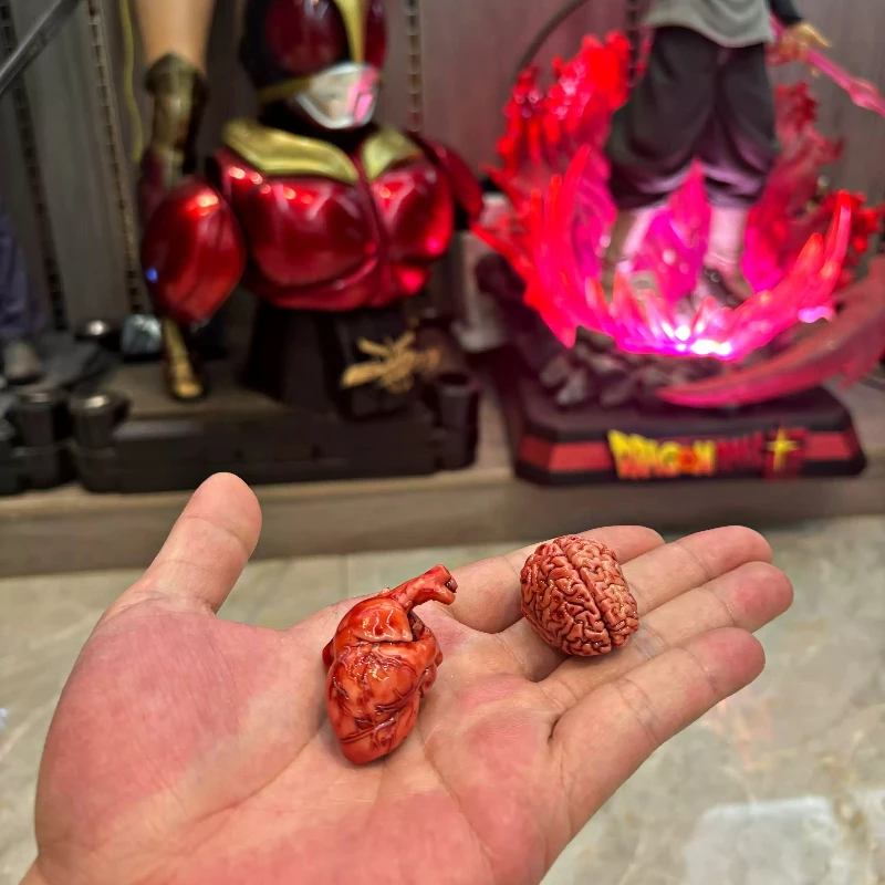 Miniature Resin Anatomical Heart Brain Model Glass Jar Specimen Ornament Simulation Organ Desk Decor Gift