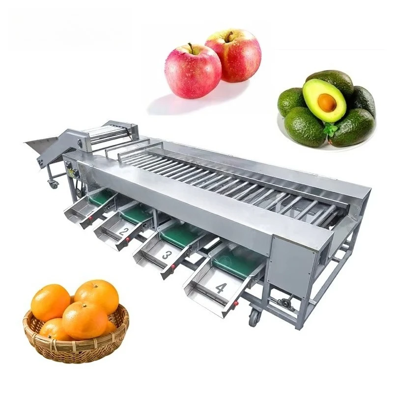 Industrial Avocado Orange Automatic Roller Sizer Fruit Vegetable Grading Equipment Lemon Avocado Sorting Machine view 5