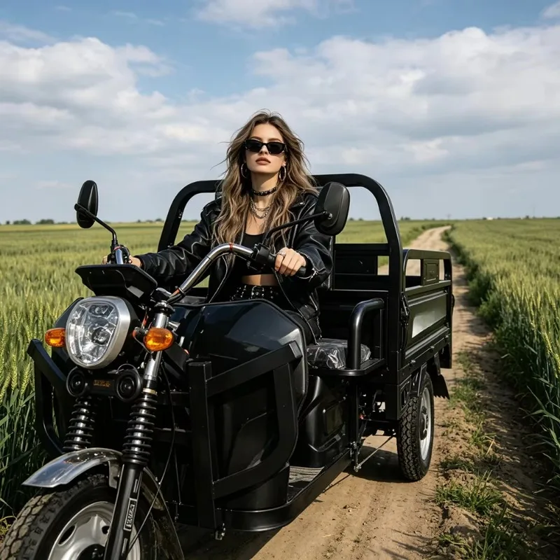 Factory Wholesale Cargo tricycle Three Wheeled Cheap Mini 60V 2000W Scooter 3 Wheel Passenger Electric Tricycles For Adults