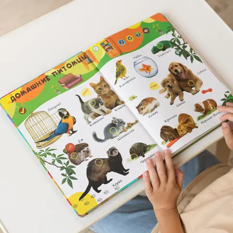 Russian educational book for kids Biidi Learning Game for Kids Montessori Learning Book for Children Intelligence Educational Russian Electronic Book Picture Books
