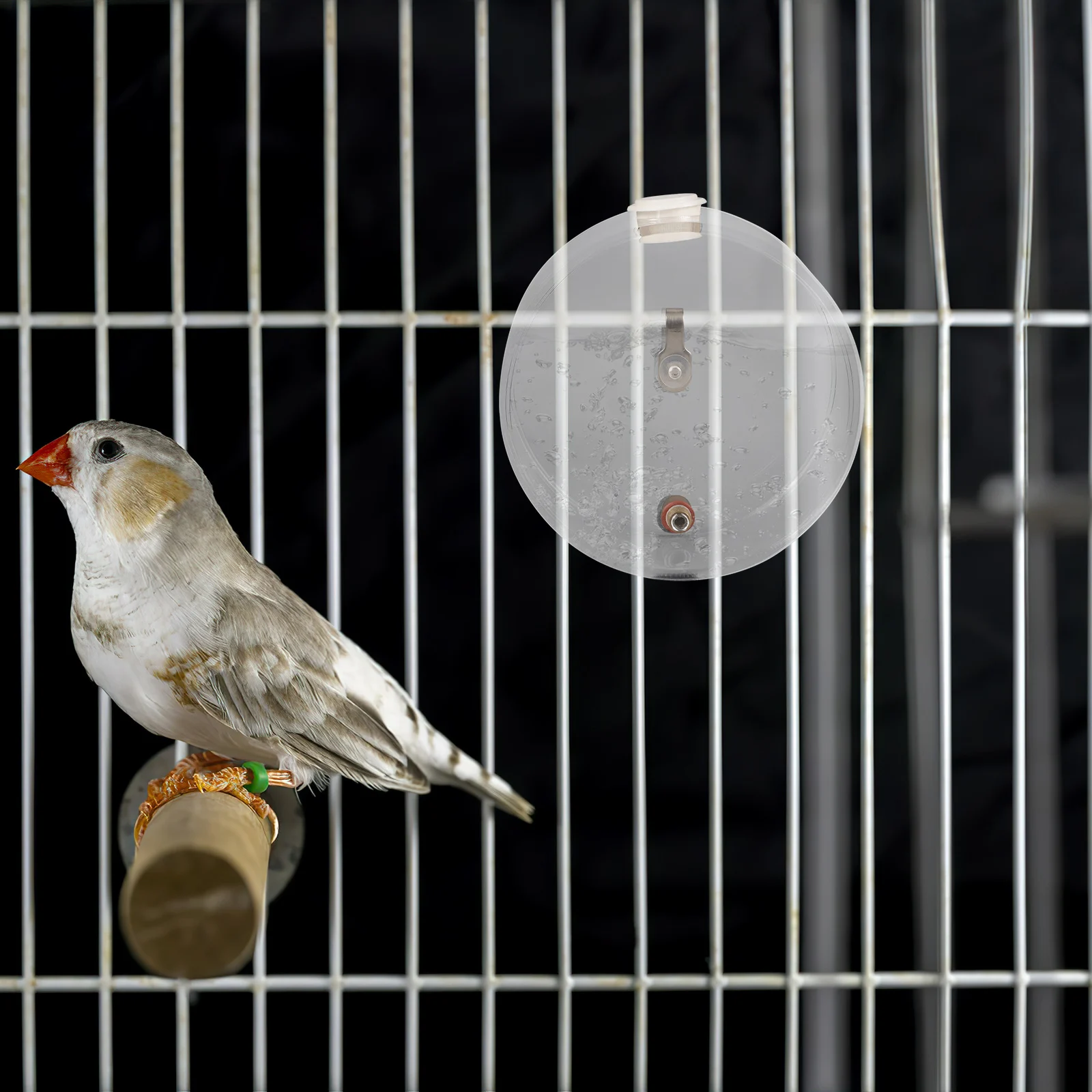 

Parrot Drinking Fountain Bird Water Feeder For Cage Waterer Parakeet Cockatiel Small Drinker Accessory Automatic Feeders
