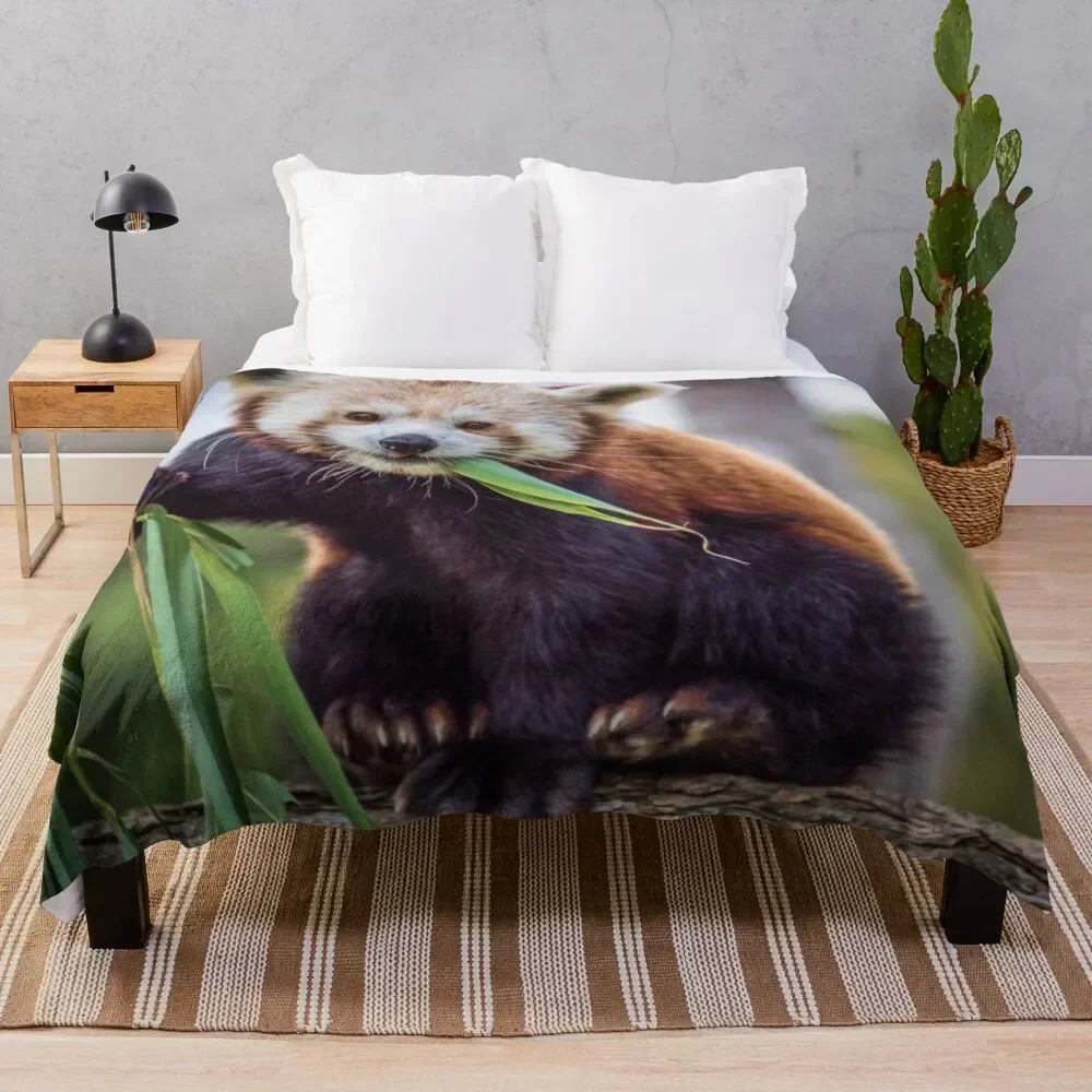 

Red Panda Throw Blanket Designers For Sofa Thin Heavy Luxury Thicken Blankets Blankets For Sofas halloween Large Blankets