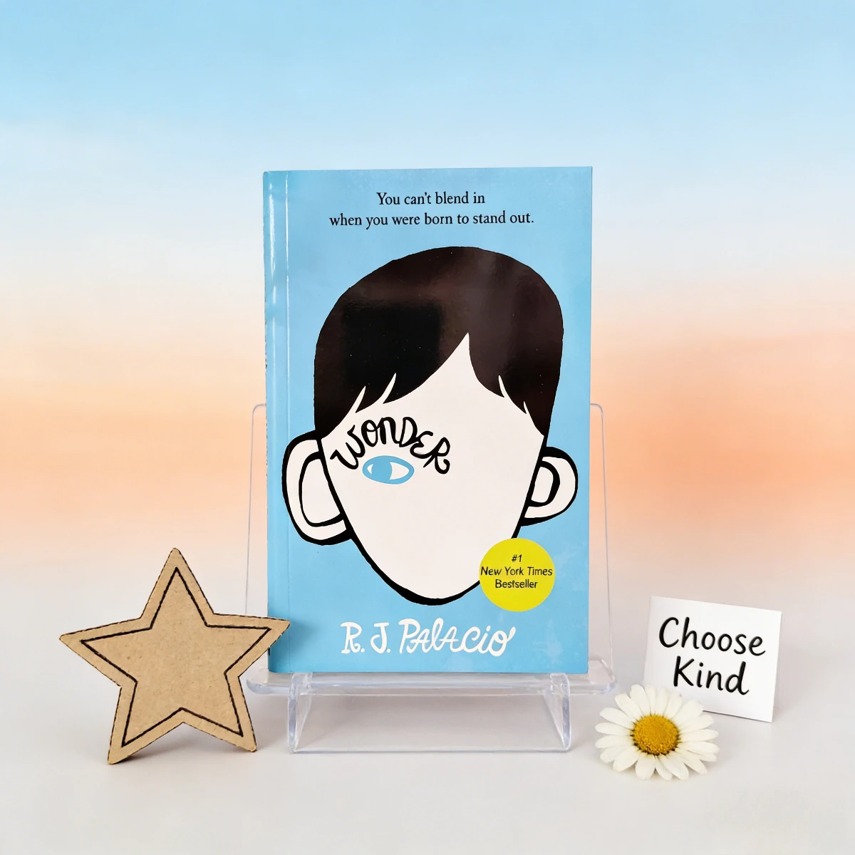 wonder-rj-palacio-voce-nao-pode-se-misturar-a-multidao-quando-nasceu-para-se-destacar-empatia-bondade-ficcao-para-jovens-adultos-historia-de-crescimento