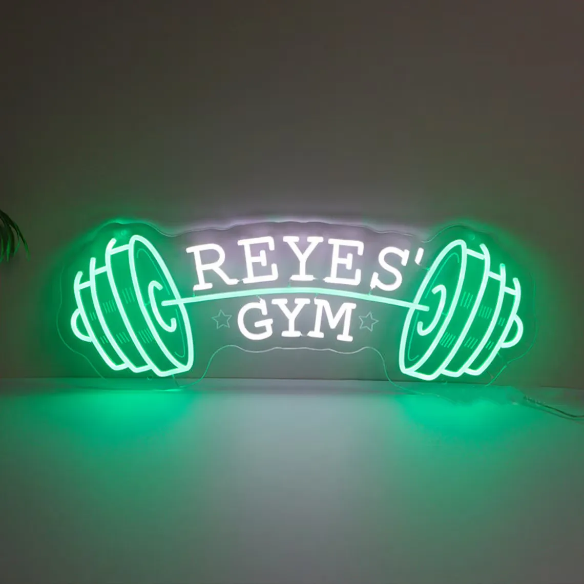 Personalized Dumbbell Neon Sign, Gym Led Neon Wall Hanging, Barbell Custom Neon Light, Fitness Lover Gift, School Gym Wall Decor