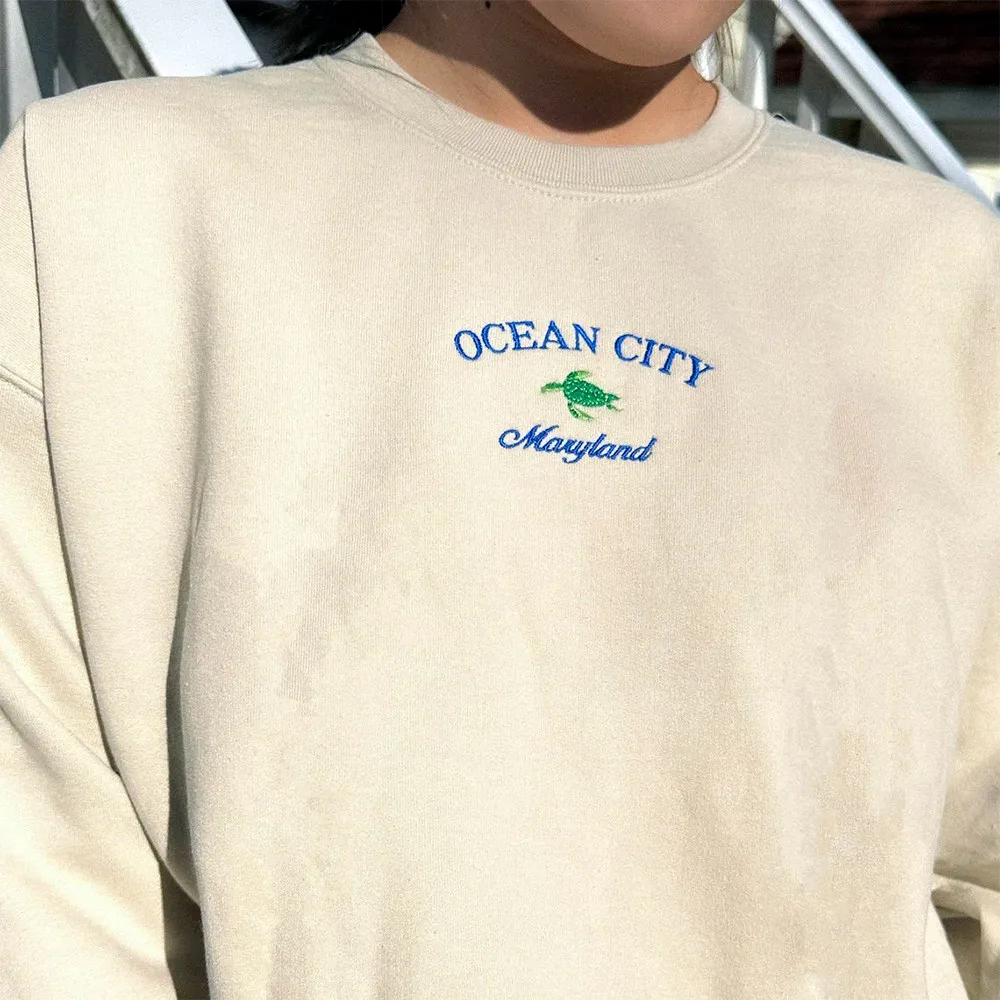 

Винтажный стиль, милые толстовки с вышивкой морской черепахи, свободные хлопковые толстые флисовые пуловеры с круглым вырезом, повседневные джемперы с длинными рукавами