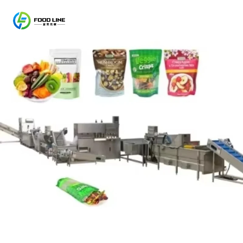 Hot air Drying/Vacuum Freeze Drying/Frying/Vacuum Frying/vacuum Puffing Production Line Customized