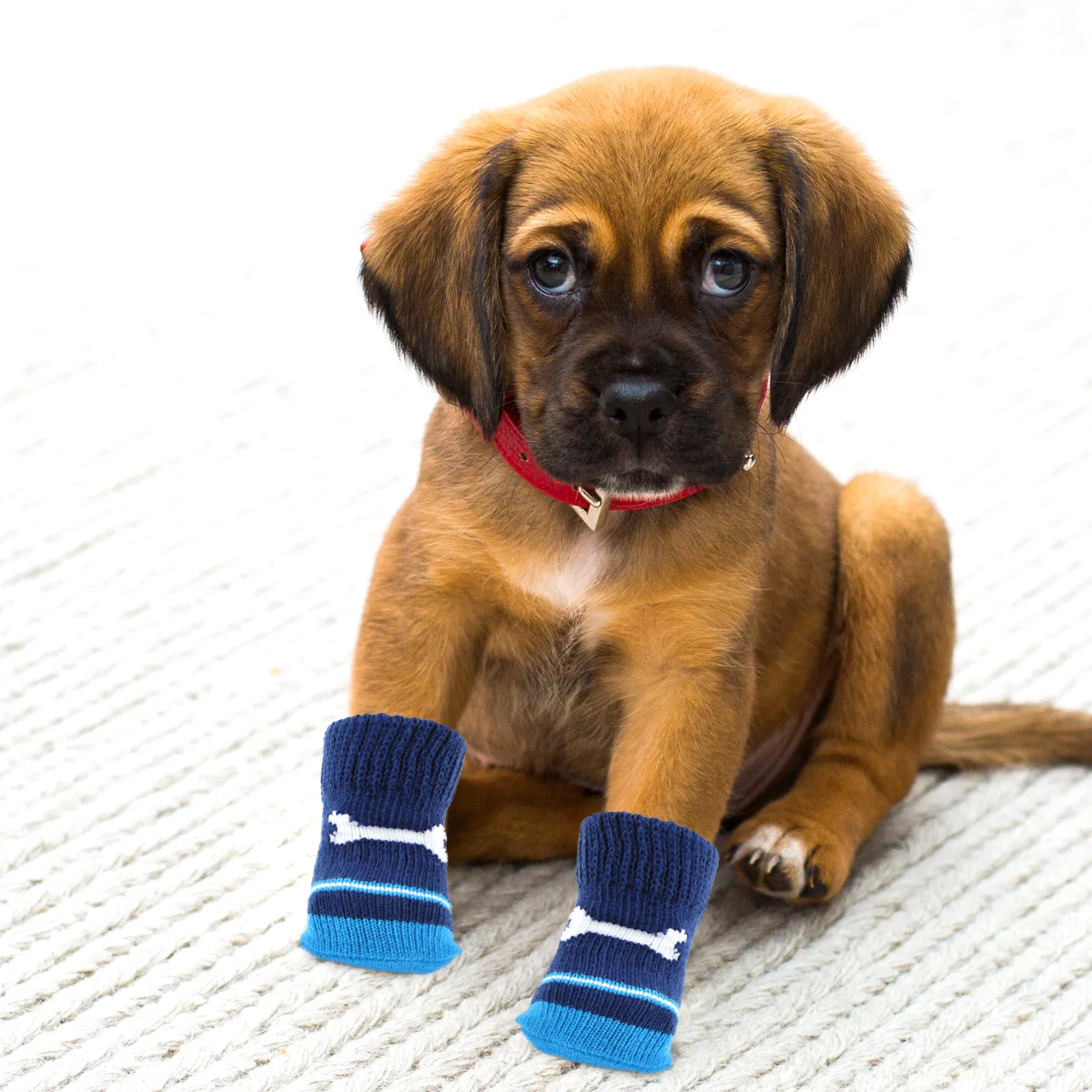 

3pcs Anti Dog Socks for Small Dogs Pet Footwear Poodle Puppy Cotton Socks Adorable Pattern Washable Warmth