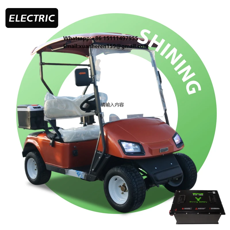 Shininglsv Electric Off-Road Stand-Up Golf Cart 5KW AC Motor 50-70Km/h Max Speed 48V/72V Battery 1-2 Seats for Sale Philippines