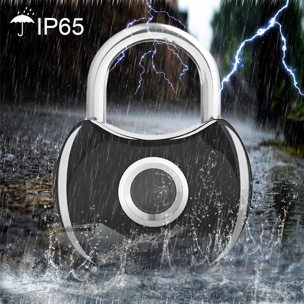 Q1Tuya Bluetooth Smart Fingerprint Padlock Portable Mini Waterproof USB Charging Security Electronic Fingerprint Door Lock