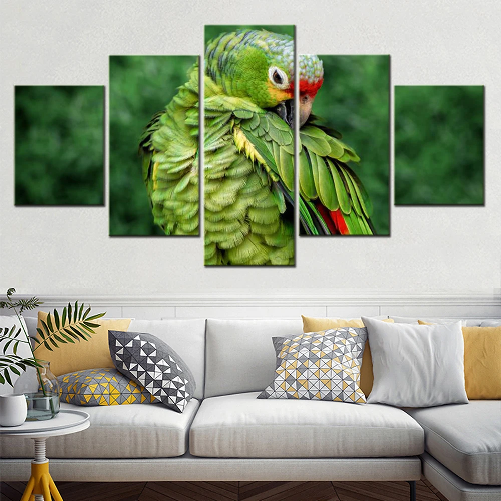 

5 Pieces Canvas Wall Art Animals Parrot Photo Wallpaper Painting Living Room Picture Print Bedroom Mural Home Decoration Artwork