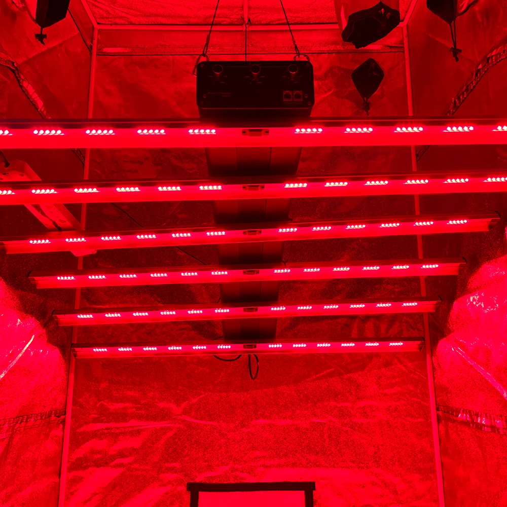 Redfy Barn utiliza luz de terapia Led equina dispositivo de solario infrarrojo tratamiento de cuerpo completo terapia de luz roja infrarroja dispositivo de caballo