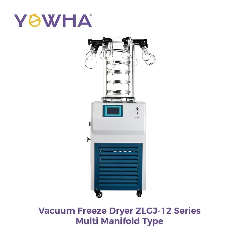 custom for ZLGJ-12 Series Multi Manifold Vacuum Freeze Dryer 0.1Pa 2L/S Pumping Speed 0.12sqm Drying Area Lyophilizer