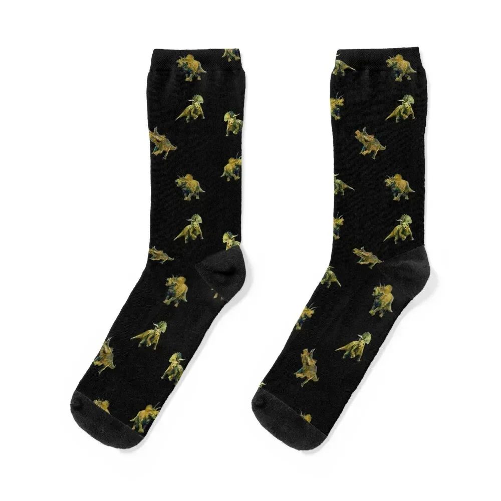 Triceratops Pattern Socks floor funny sock designer Luxury Woman Socks Men's