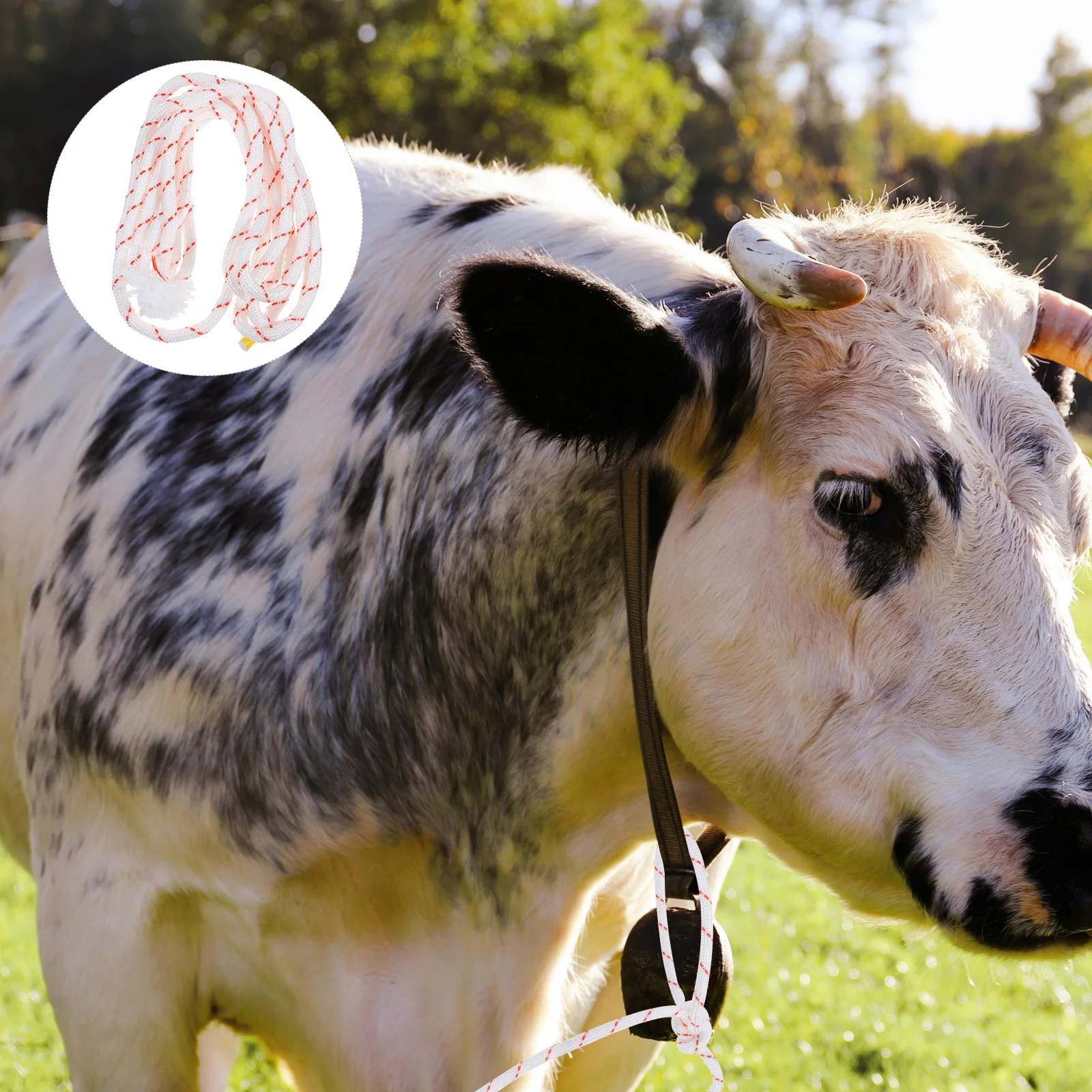 

Strong Thickened Cow Rope Livestock Neck Rope Anti-Escape Comfortable Grip Ideal for Farm Management and Livestock Handling