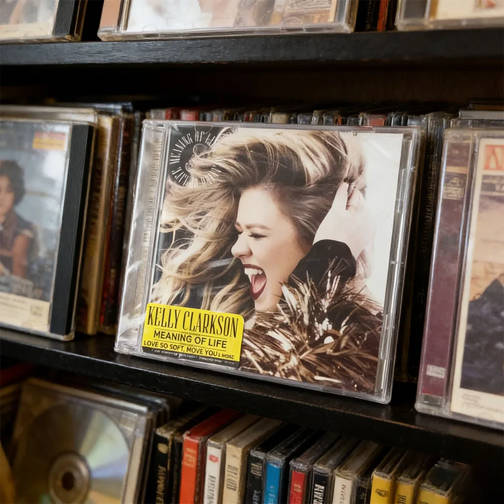 

CD It Revolves Around Self-worth, Love, Female Empowerment, and The Essence of Life.Reflection on The "meaning of Life".