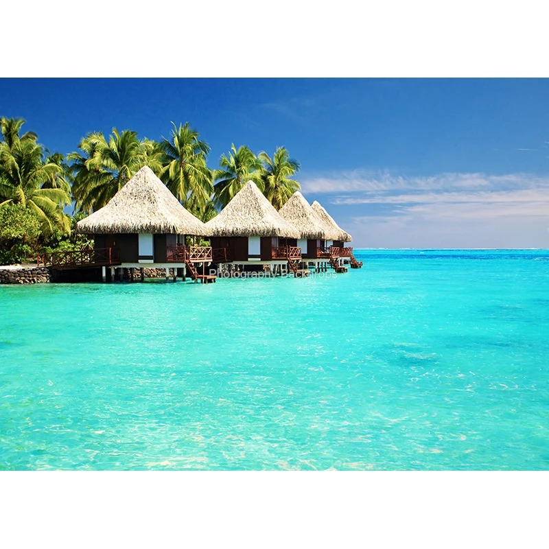 ZHISUXI 여름 열대 바다 해변 바다 배경 해변 파티 파도 장면 비닐 사진 배경 사진 스튜디오 MP-2