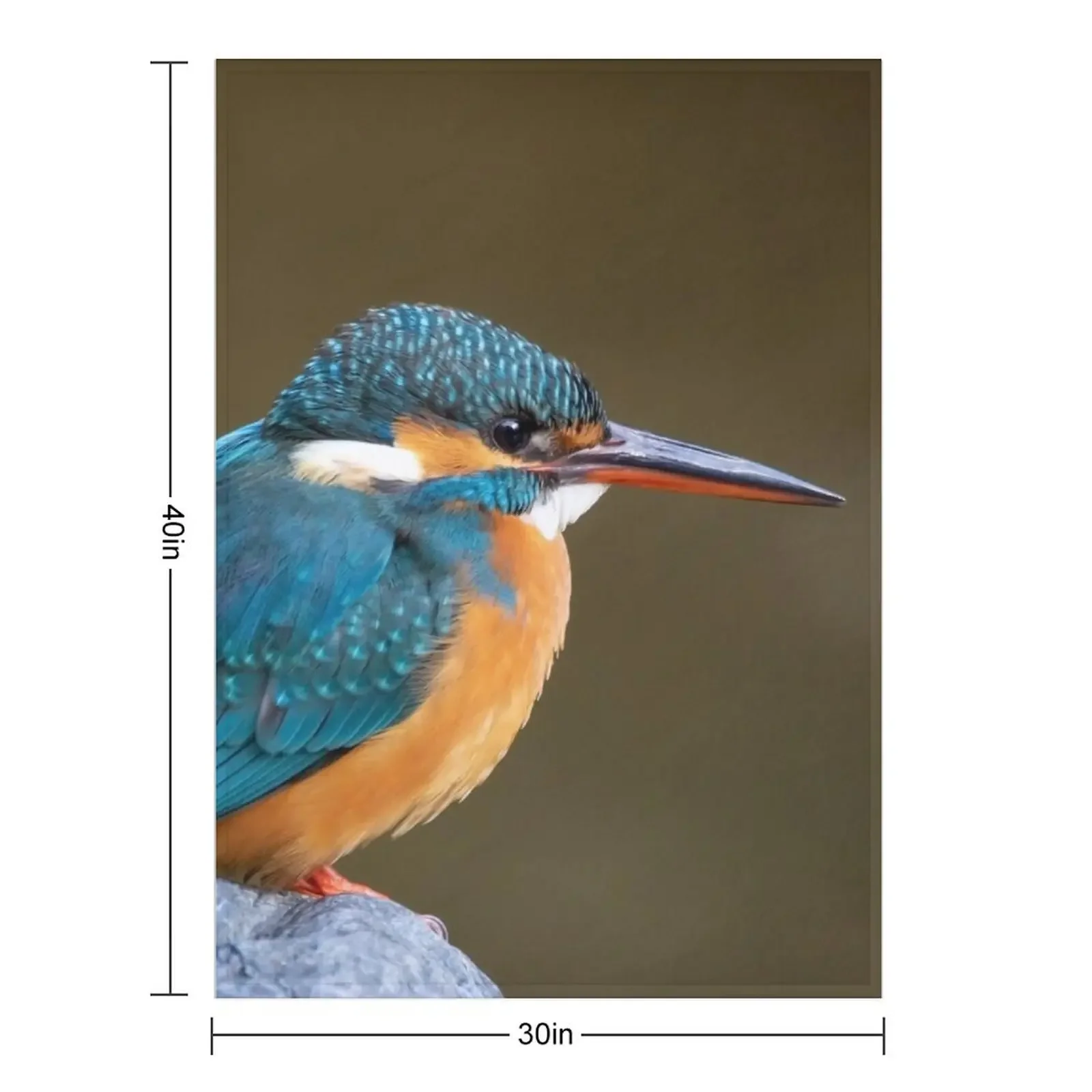 Common Kingfisher in Japan Throw Blanket Furry Nap Plaid on the sofa Thin Blankets