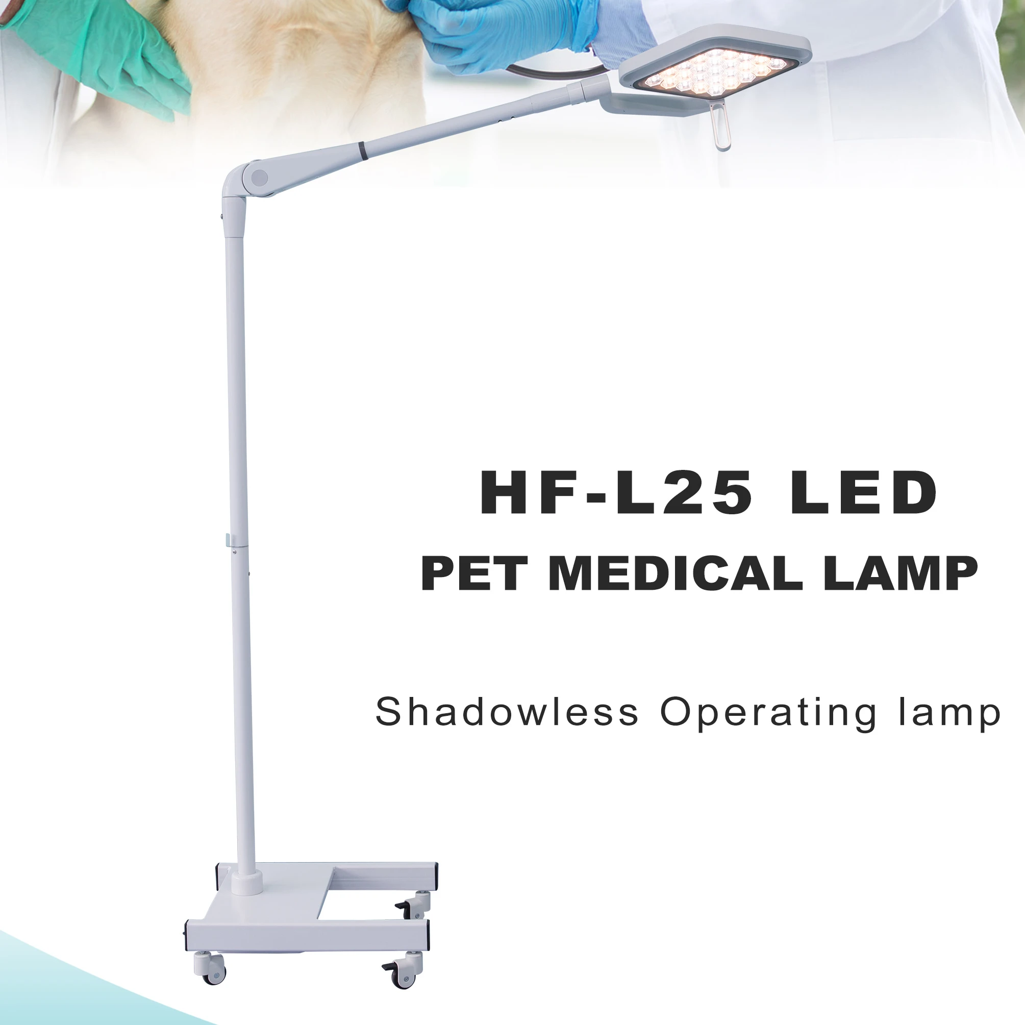 Medical Veterinary LED Examination Light Shadowless Surgical Lamp for Pet Hospital Clinic CE Certified Electric Power Source