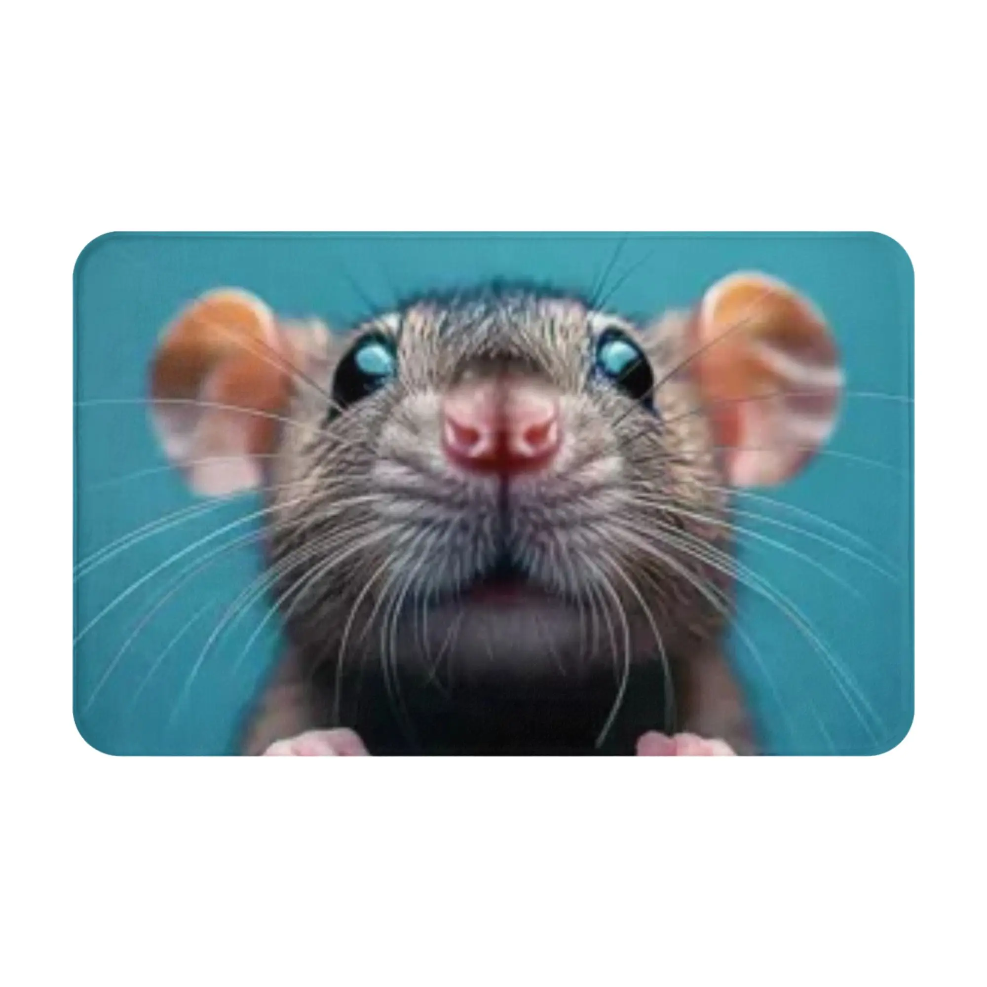 Cute Peeking Mouse Animal Print Doormat Bath Living Room Mat  Absorbent Home Decoration