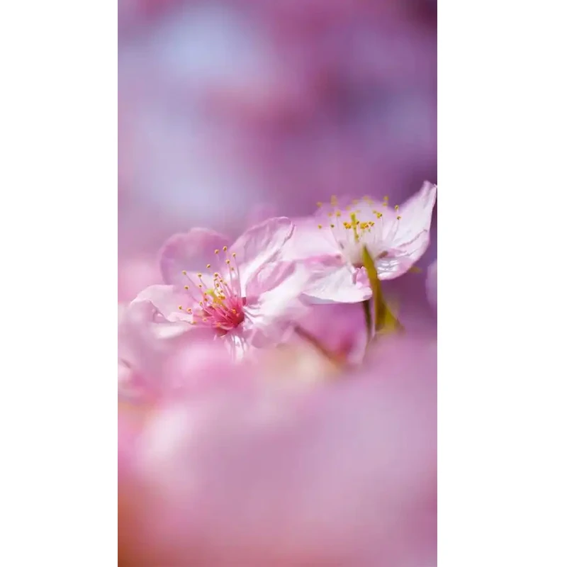 IP65 مقاوم للماء في الهواء الطلق جرس الباب اللاسلكي مع غطاء المطر الشمسية كاميرا تويا العين الباب الرقمي ثقوب الباب المنزل الذكي فيديو الاتصال الداخلي #1