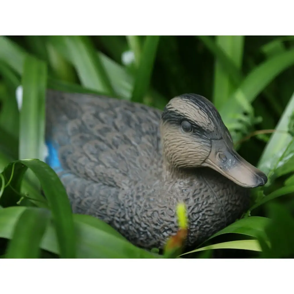 Decoy, artificial mandarin duck, plastic, realistic lawn, garden