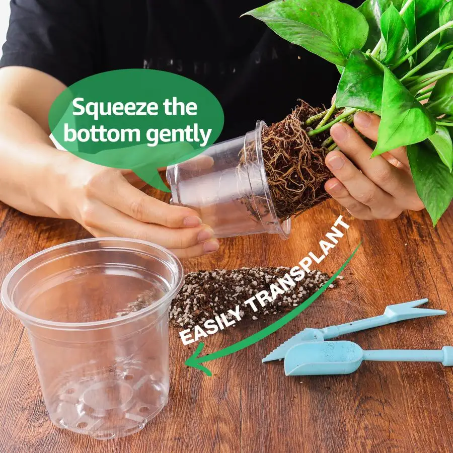 30 4-inch clear plastic planters with humidity domes and drainage holes for indoor succulents, seed starting, seedlings