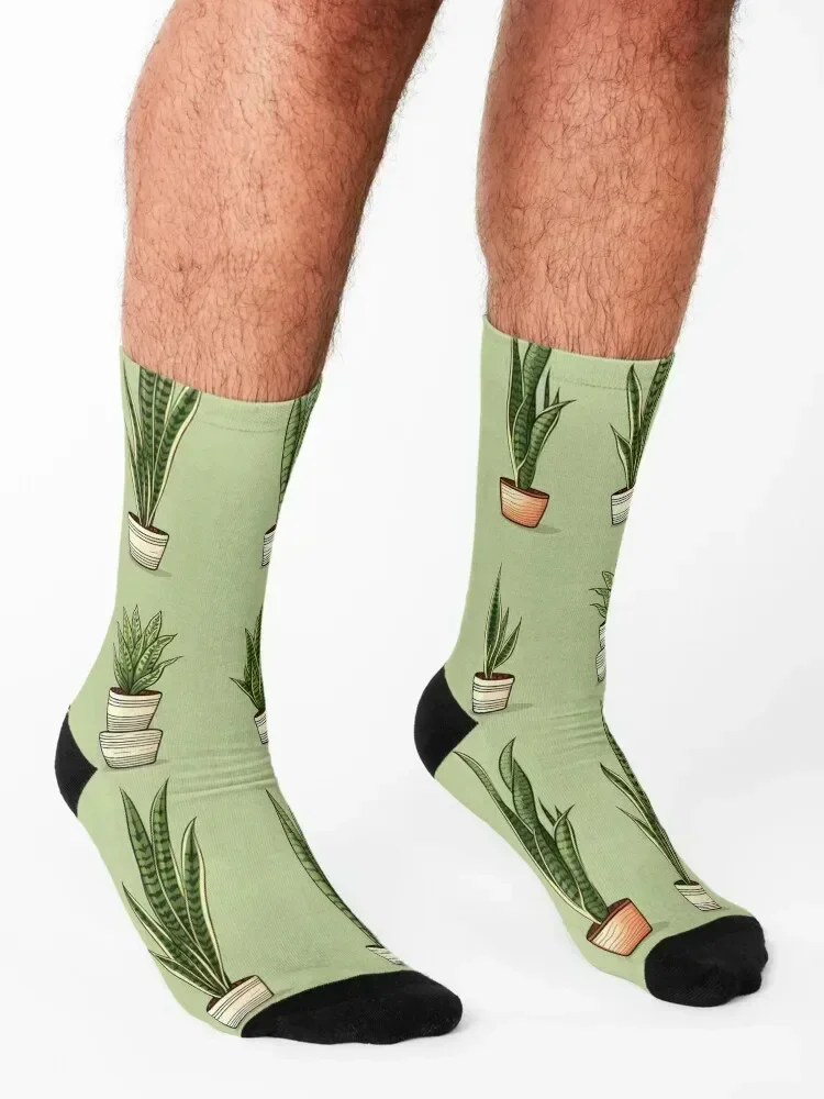 Snake Plant - sansevieria Icon Style #15 Socks Soccer winter Climbing floor Socks For Girls Men's