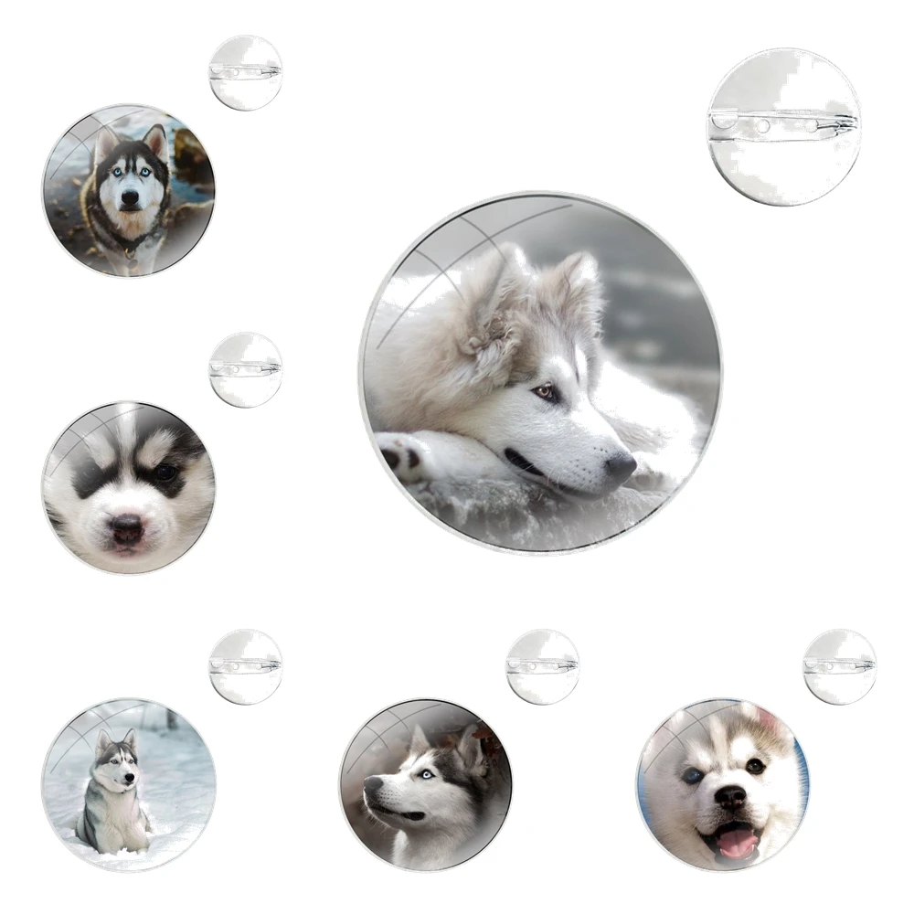 Glass Dome Brooches Shirt Lapel Bag Cute Badge Pins For Clothes Hat Accessories Funny Siberian Husky Dog