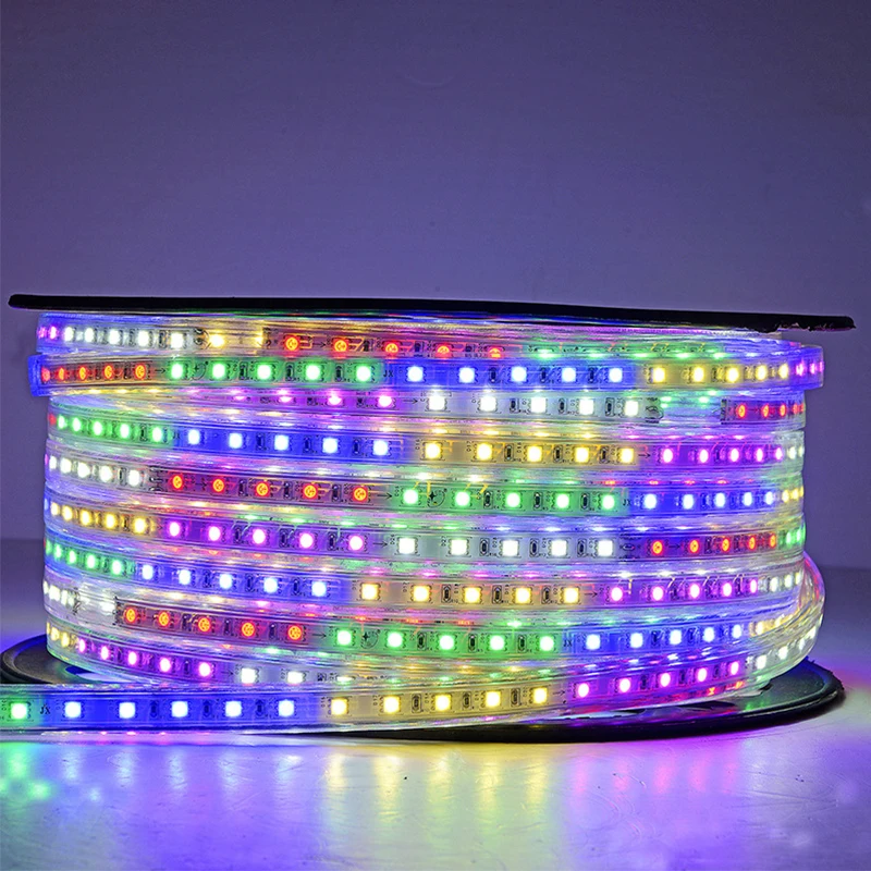 

Led Strip Rope Lights Multi Colors SMD 2835 Flexible Led Tape Lights With 220V EU Power Control 8 Mode Dreamcolor Led Lighting