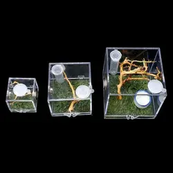 Plastic Transparent Jumping Spider Habitat Acrylic Breeding Box Cage for Spiders Small Insects