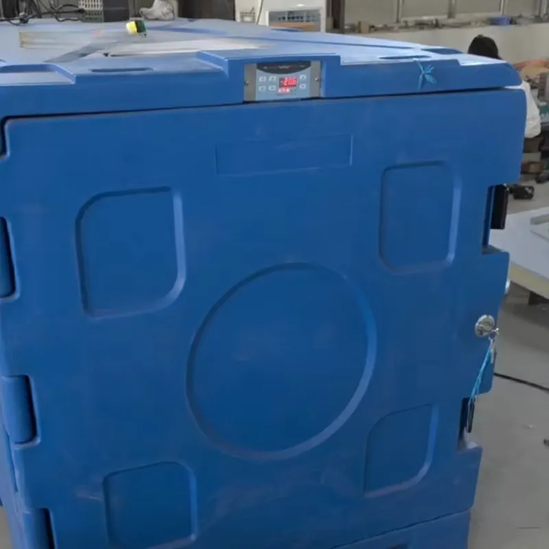 0~-18℃ Rotomolded Cargo Transfer Refrigerate Box for Van DC 12v 24v 48v 60v Freezer Built in Charger 220v 60hz