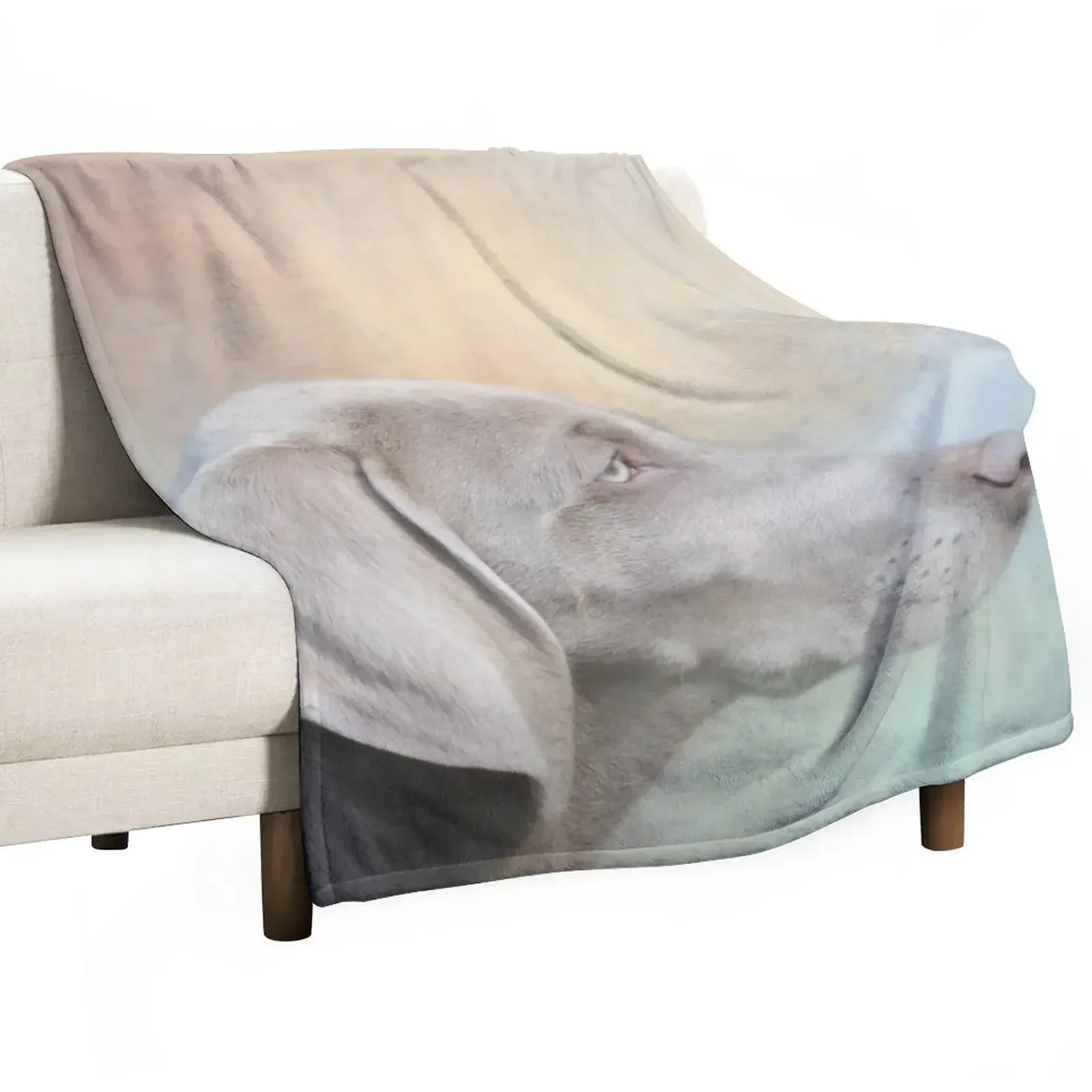 Beautiful Weimaraner Dog Throw Blanket Weighted Soft Blankets