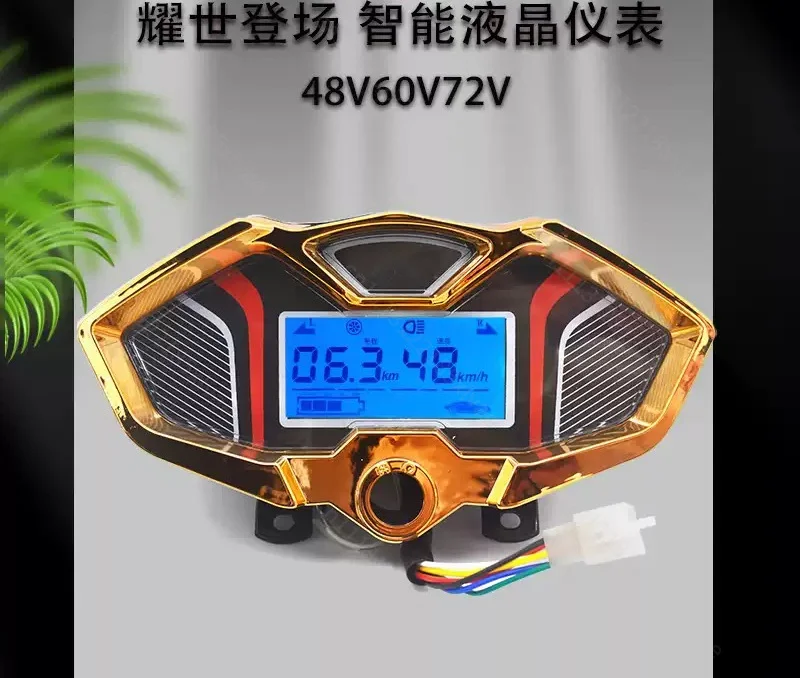 Multi-Function ETrike Digital Display Panel Universal 48/60/72V 3 Wheel Electric Bike Odometer Speed Voltage Battery Level Meter